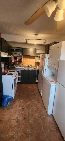 Room rental female only immediately Image# 1