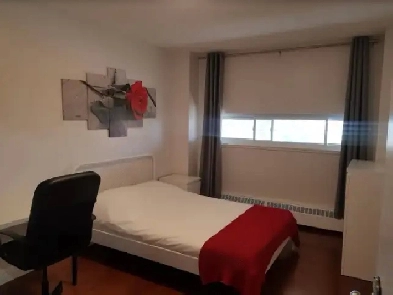 NOW - Big nice furnished room in condo near York U and subway Image# 1