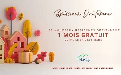 bach Apartment for Rent - 1150 Rue Sherbrooke East