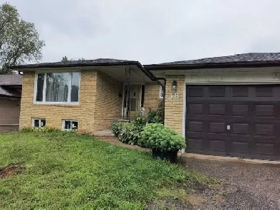 Furnished Bedroom for Rent (Female) - Thornhill Image# 1