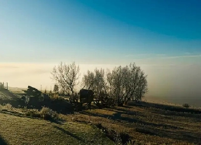 Acreage Living - Main Floor for Rent in Bearspaw