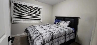 Room Rental Image# 1