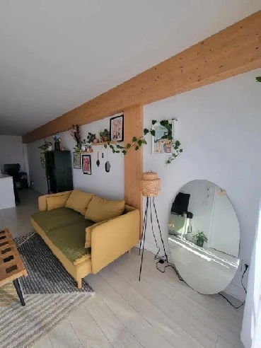 Condo Griffintown - 3 1/2 Image# 1