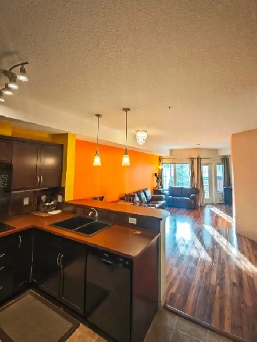 1 bedroom 1 bath furnished  apartment for rent Image# 1
