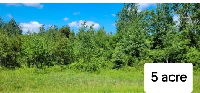 5 acre wooded lot Image# 1