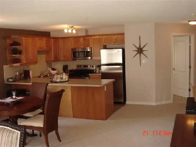 2 Bds 2 baths Spacious Condo South Side Image# 1