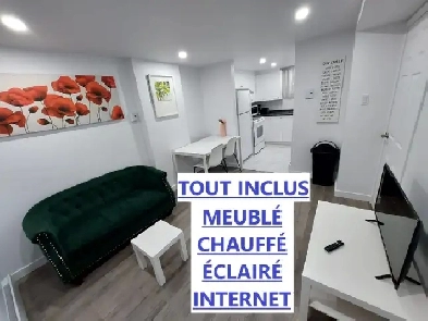BEAU ET CHIC 3 ½ RÉNOVÉ TOUT INCLUS AVEC CHAMBRE FERMÉE Image# 1