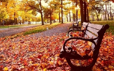 Affordable Furnished Room for Rent for Female Student/Working