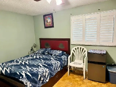 Master Bedroom for Rent Near Humber College (Female) Image# 1