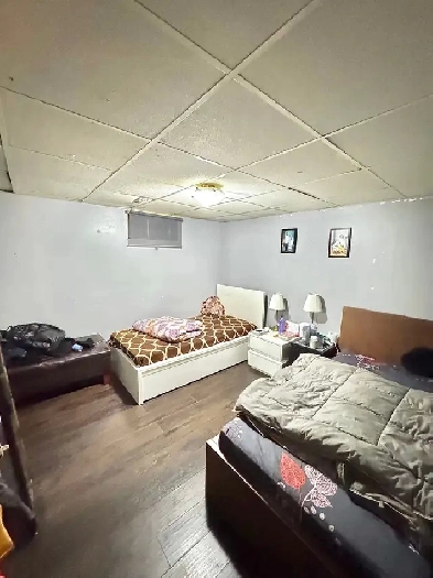 room for rent on sharing for a female from dec 1st Image# 1