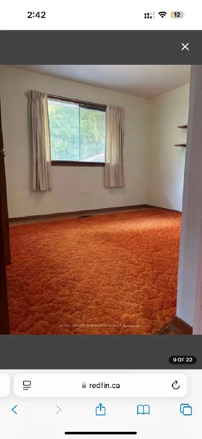 Large room available for rent in Scarborough Image# 1