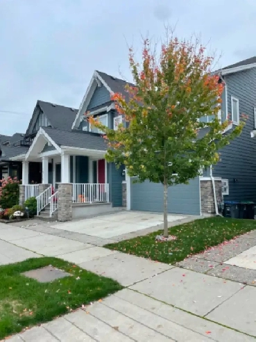 Basement Suite - South Surrey, BC Image# 1