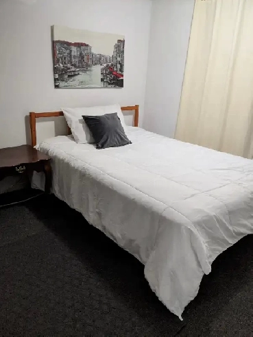 $50 night Furnished Basement Apart.- Dufferin St /  St Clair Ave Image# 1
