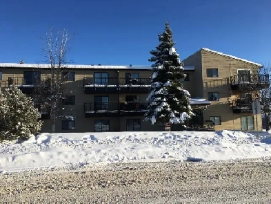 FOR RENT ~ 1 Bed 1 Bath - Condo1221 Westhaven Drive, Edson Image# 9