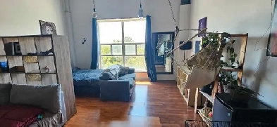Spacious loft for rent Image# 1