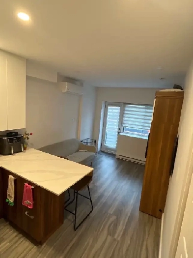 Studio Neuf Plateau Mont-Royal Image# 1