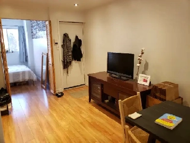 Jolie 3 demi, 500m metro parc, UDM campus MIL, parc extension Image# 1