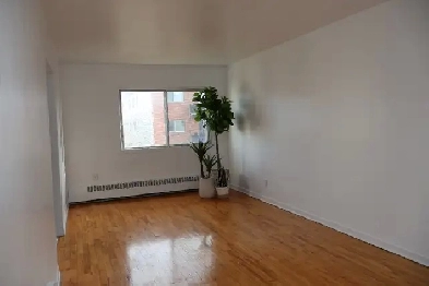 4 1/2 Anjou Image# 1