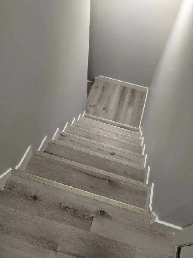 Newly Made Basement For Rent