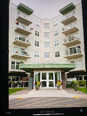 AAA Real Estate Corp