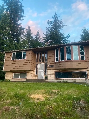 Main floor 3 beds 2 baths plus den $2950 1800 sqft Image# 1