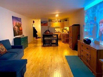 Studio-Loft @Petite Italie (Meublé) Image# 1