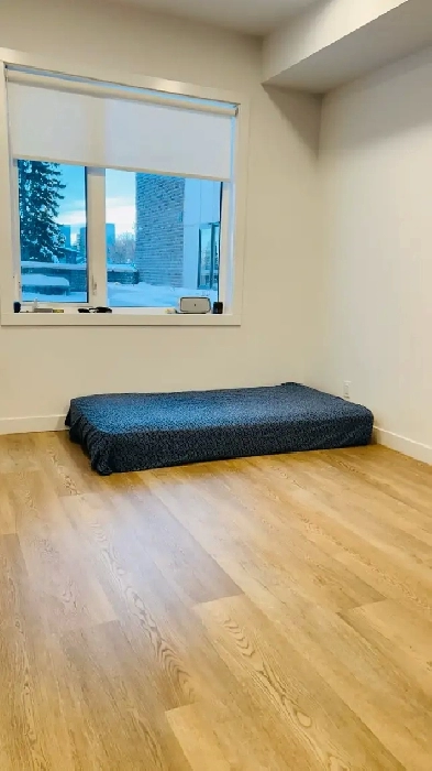 Room For rent in Calgary Downtown