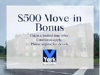 One Bedroom Apartments on Seminole St at Central