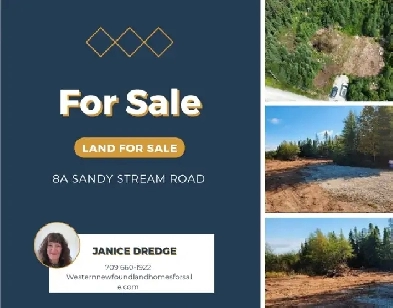 Land for Sale Howley NL 111 Acres image