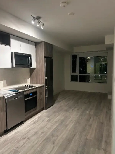 Downtown Condo for Rent | Two Bedroom, Two Bathroom Image# 1