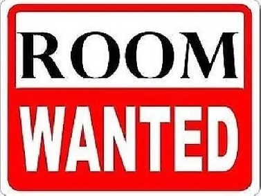 Looking for room to rent in Montreal Image# 1