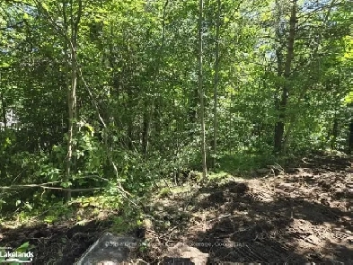 Highlands East Investment Land West of Gooderham on the Highw Image# 1