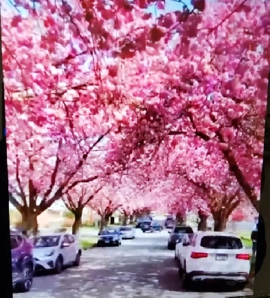 1 bedroom and 1 bathroom rent