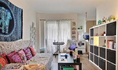 JOLI 1 CHAMBRE, TOUT INCLUS, BALCON, METRO MONT-ROYAL Image# 1