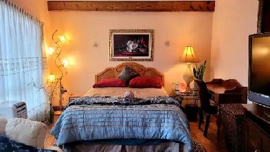 Avail Now!-Large Lotus Room near York U, Humber College, YYZ