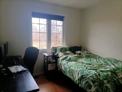 1 Bedroom for student Image# 1