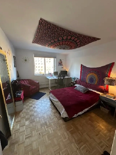 Sous-location coloc janvier-mars Image# 1