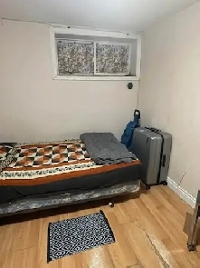 single room in basement steps to Yorkdale Subway station Image# 1