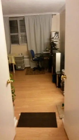 Short term bachelor apartment rent! Image# 1
