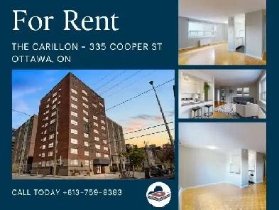 Bachelor Apartment for Rent – Pet Friendly – Move In Now! Image# 1