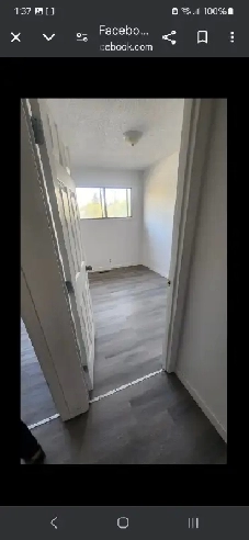 Room rental roommates Image# 1