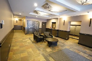 LUXURY - 2 BEDROOMS, -2 BATHS Apartment 4 Rent- start JANUARY