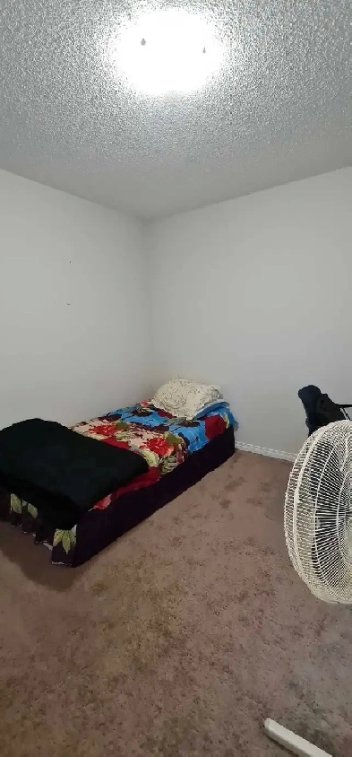 Furnished rooms for rent in NE Calgary Image# 1
