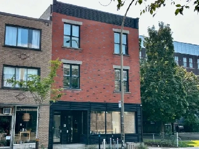 Montral Magnifique triplex en plein coeur du MileEnd image