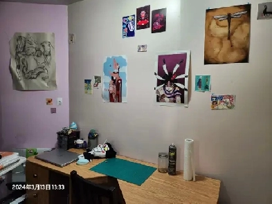BSM with private washroom 700 dollars all included near York uni Image# 1