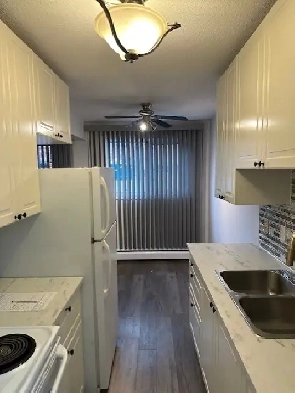 Large 2 BDRM in Old Strathcona! Excellent Location, Renovated! Image# 1