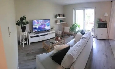 logement à louer Image# 1