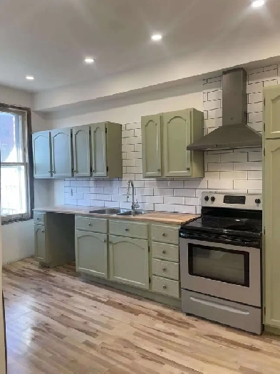 Appartement Mile-End à louer Image# 1