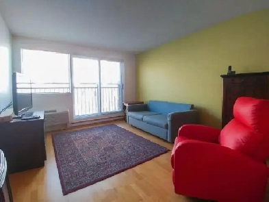 Fully Furnished condo with Indoor Parking in Griffintown Image# 1