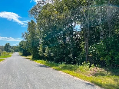 Investment Opportunity  Building Lot in Northern Ontario image